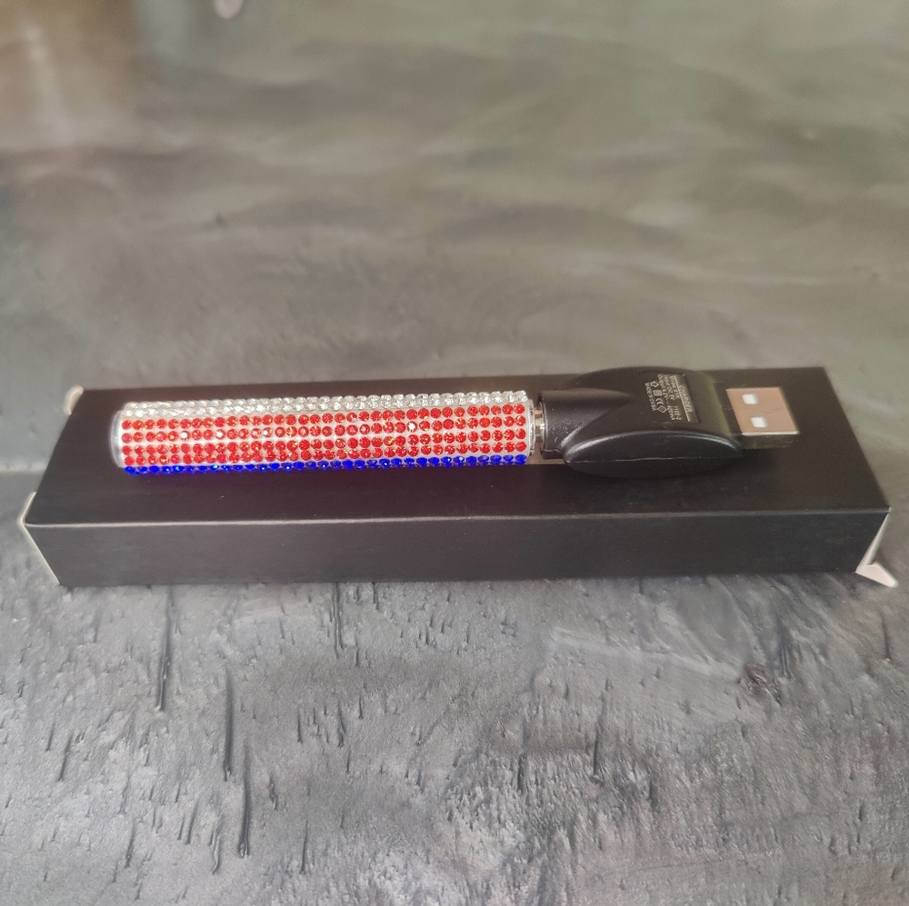 Detroit Pistons Crystal 510 Battery and Charger - Picture 1 of 7